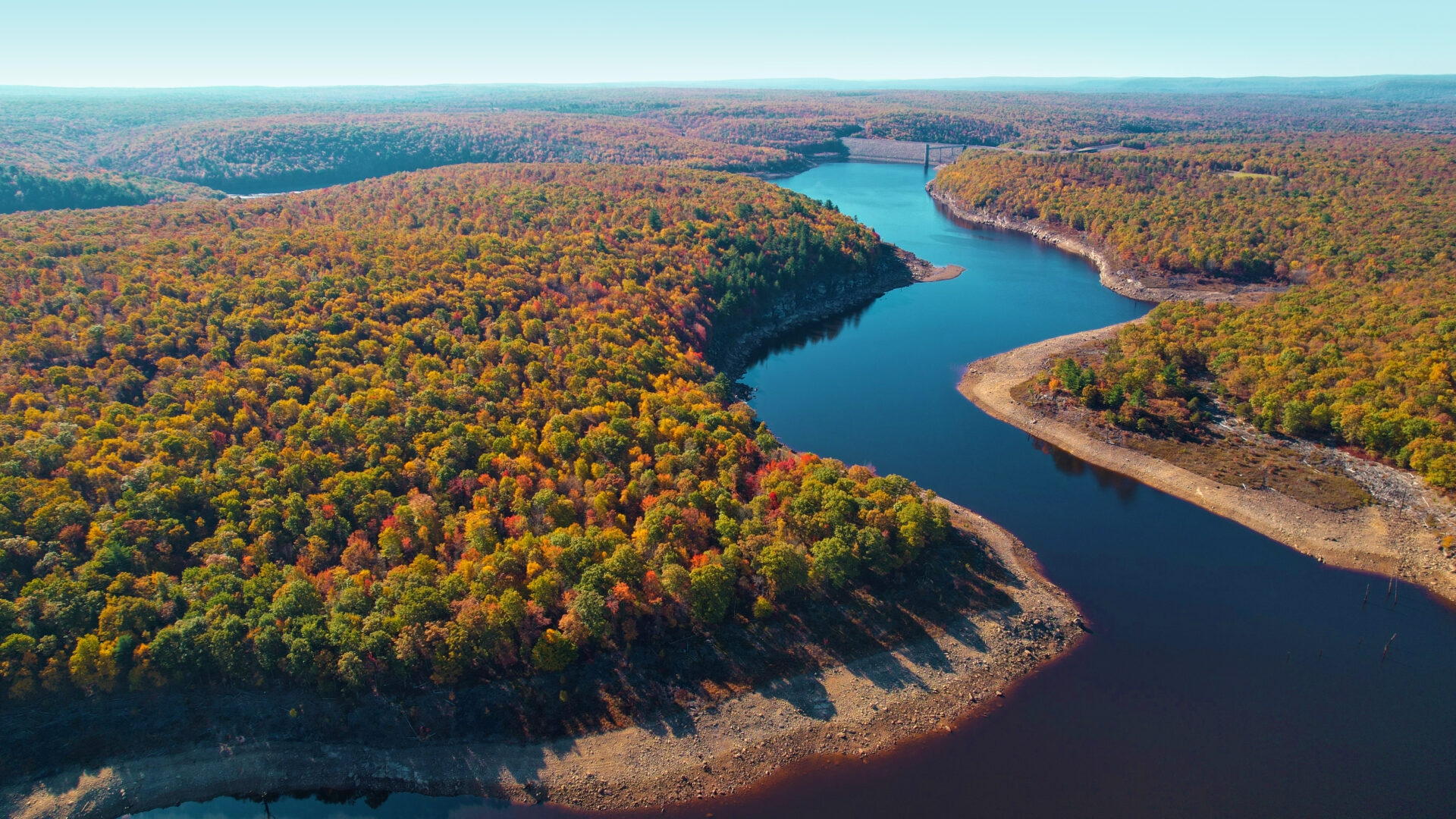 aerial view of water zigzagging through a large forest of colorful trees with misty mountains in the background