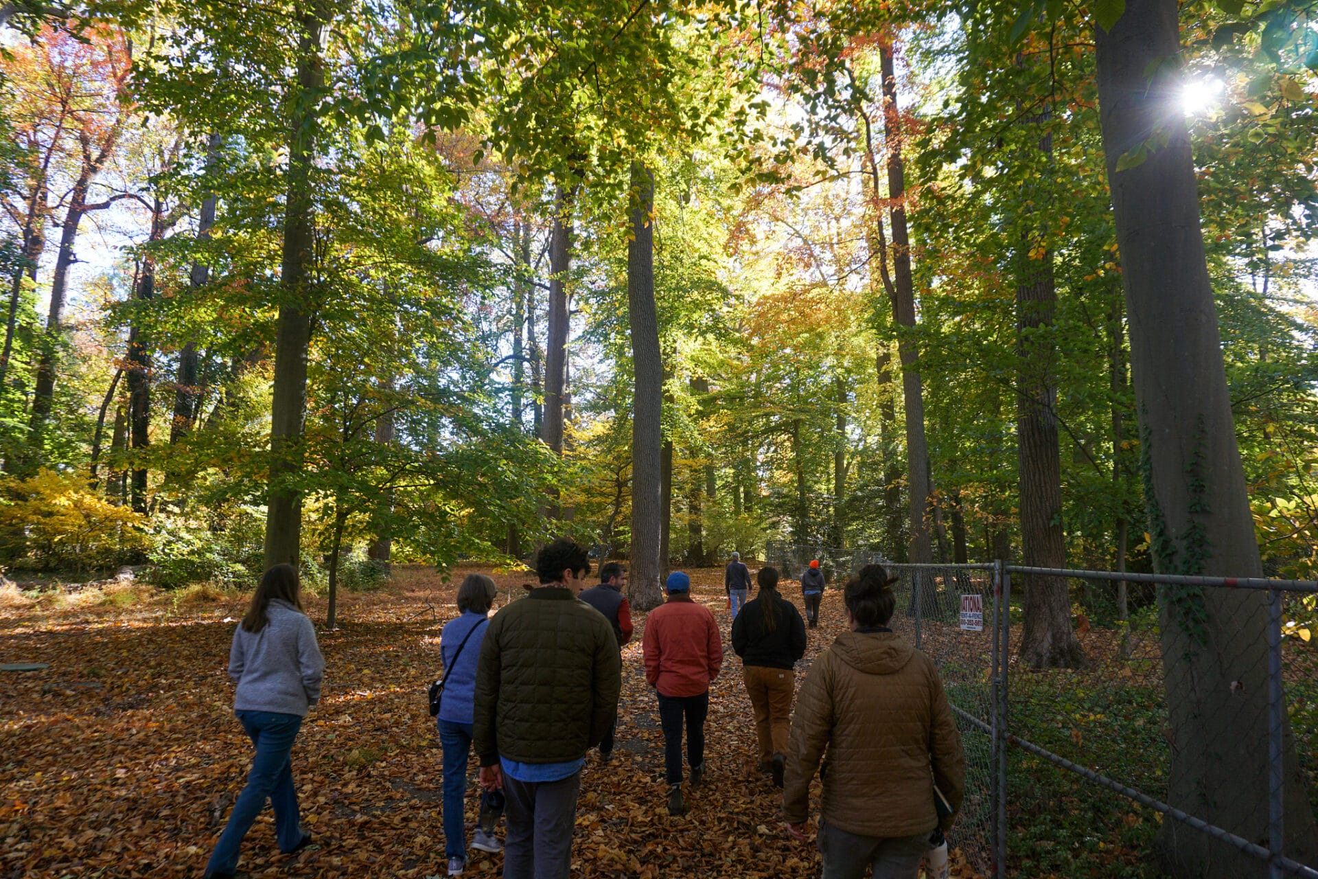A small group of people walk through a shaded autumn woodlands
