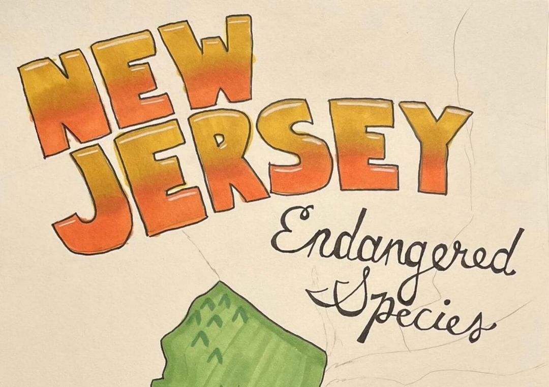 cover art illustration in marker, "New Jersey Endangered Species" with orange block lettering and cursive.