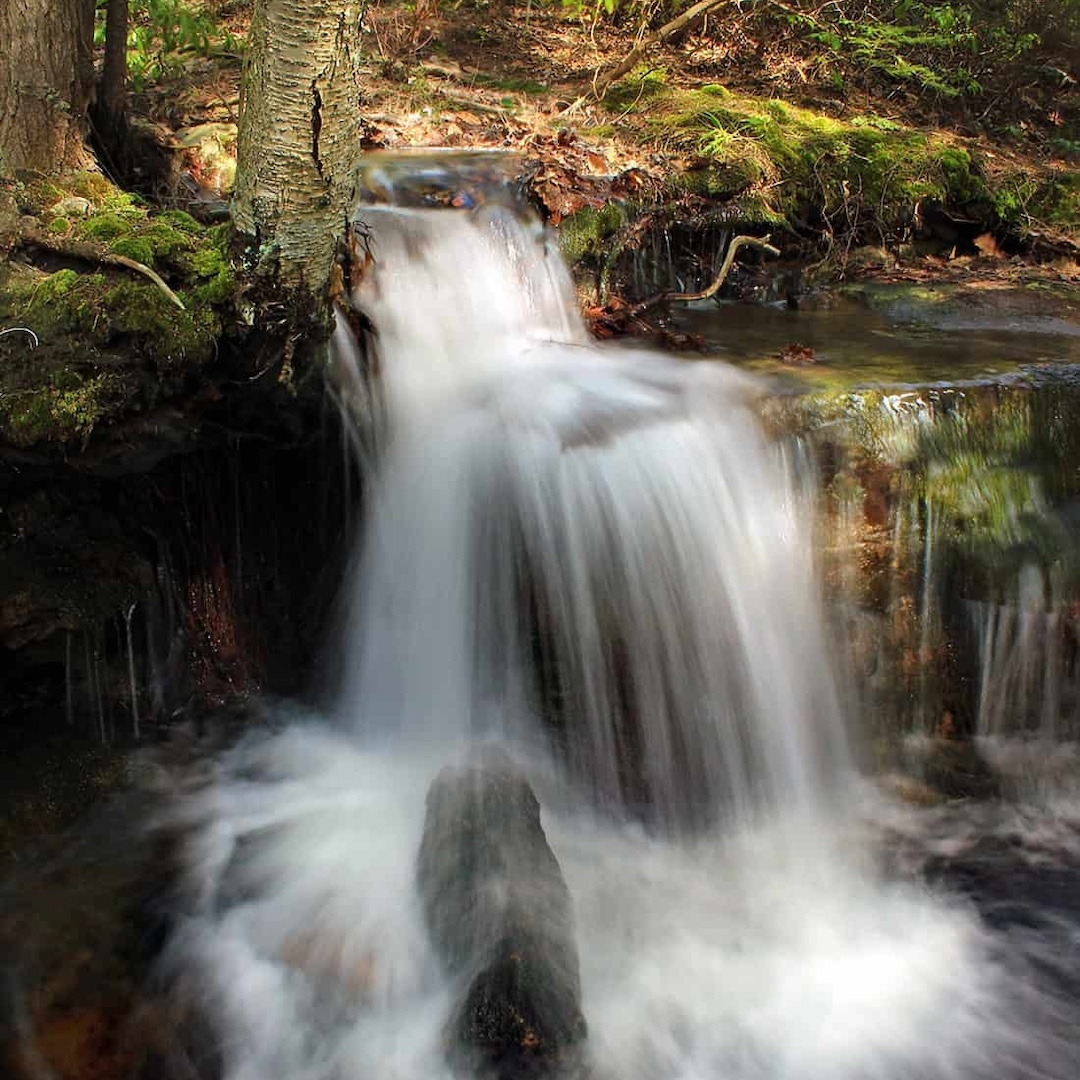 long exposure photo of a small waterfall with moss and trees in the background