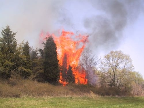 Large fire in natural area