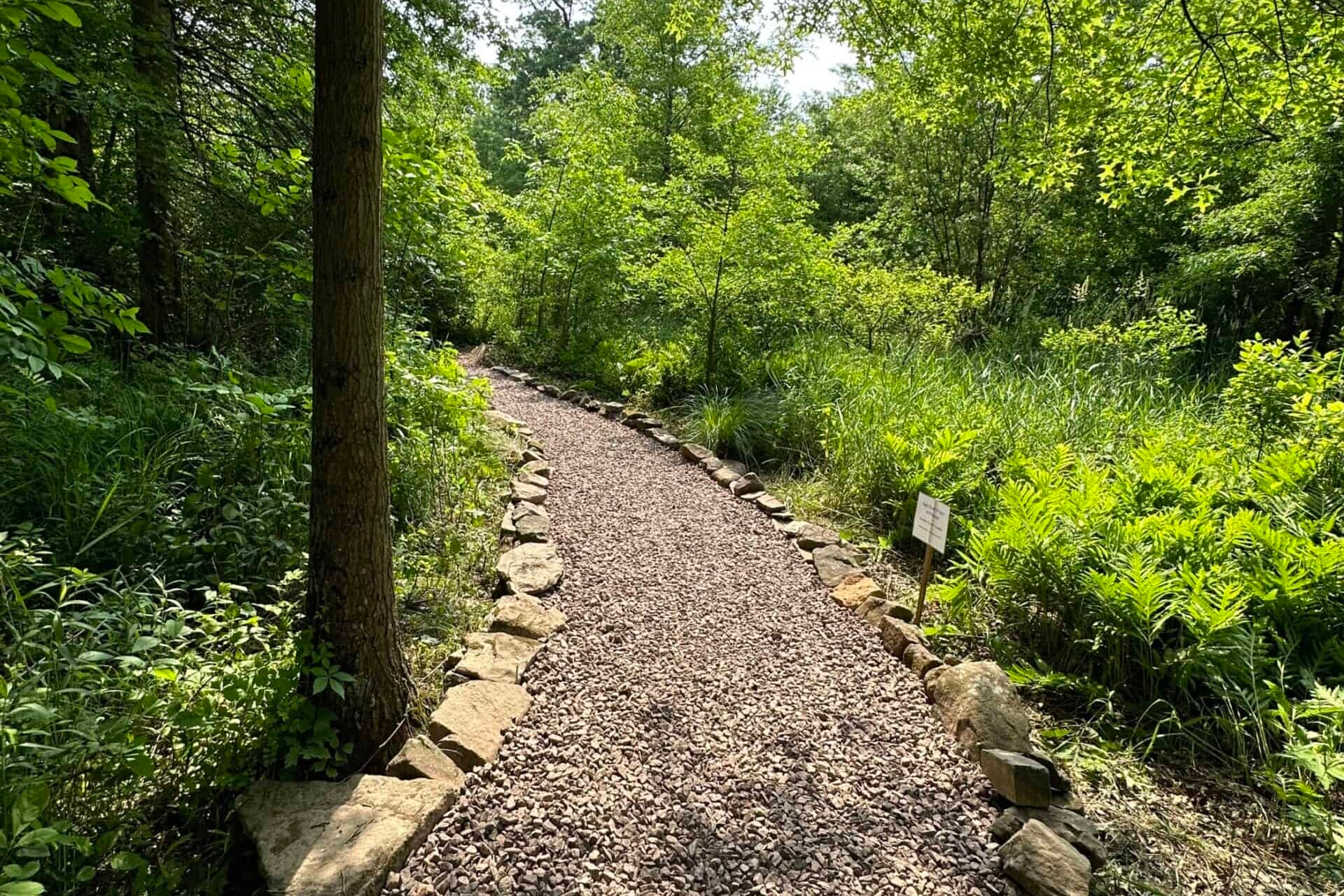 Finished smooth gravel trail curving into the woods