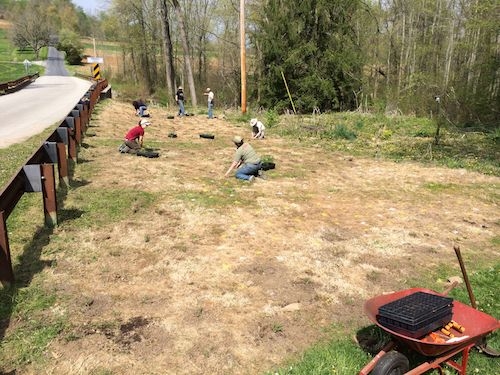 people planting plants in a brown meadow