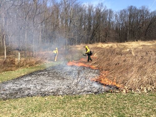 a firefighter at a prescribed burn