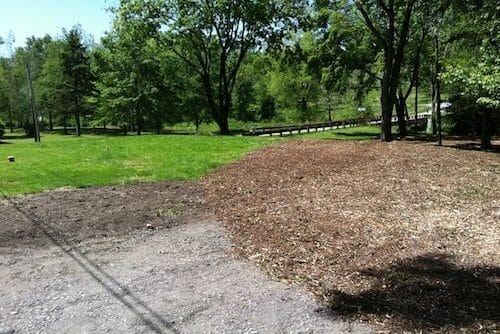 grass and dirt with trees and blue sky in the background