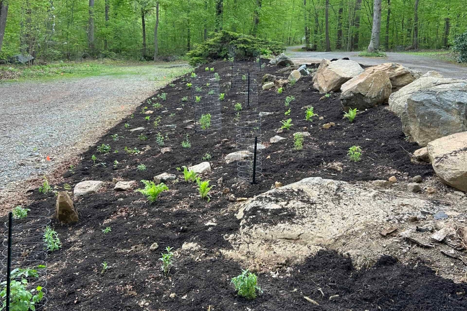 Finished planting bed with wildflowers mulched
