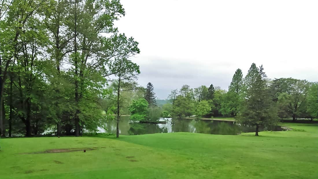 A stream runs through a field of green grass leading to a line of tall trees.