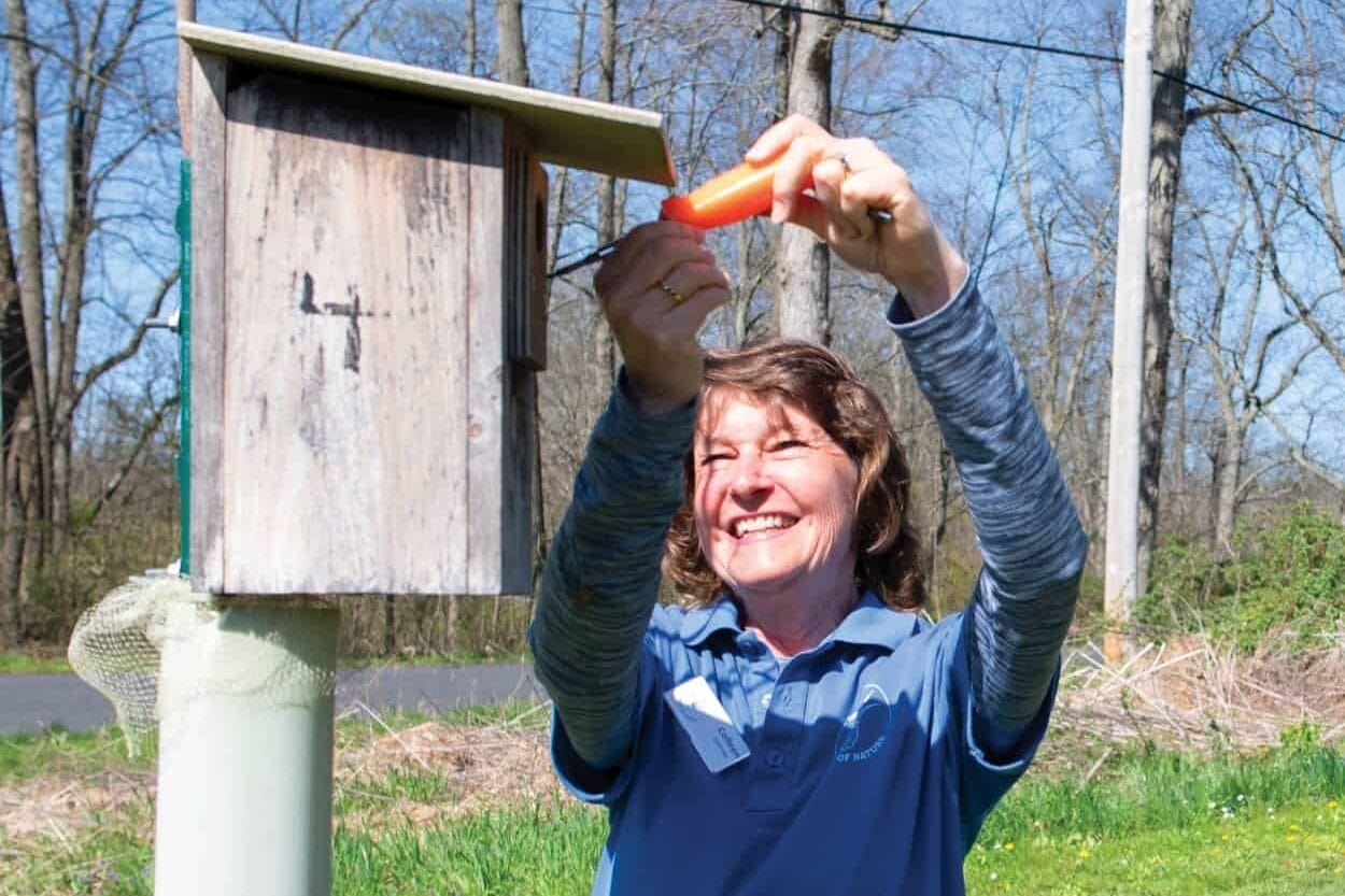 A woman in a blue shirt uses a screwdriver to open up a bluebird nest box.