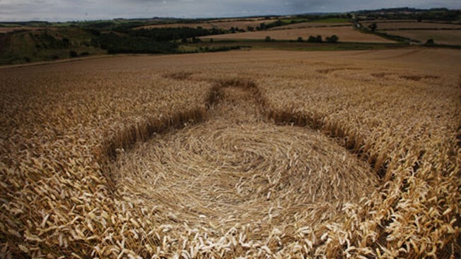 Photo of crop circle in a farm field.