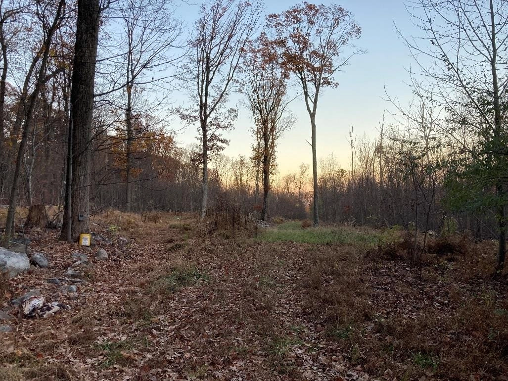 A low sun over the forest along the Kittatinny Ridge in autumn