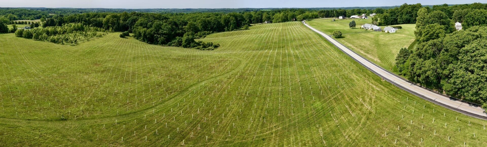 A drone photo of Peacedale Preserve with 11,020 tree seedlings in photodegradable tree tubes planted in the fields.