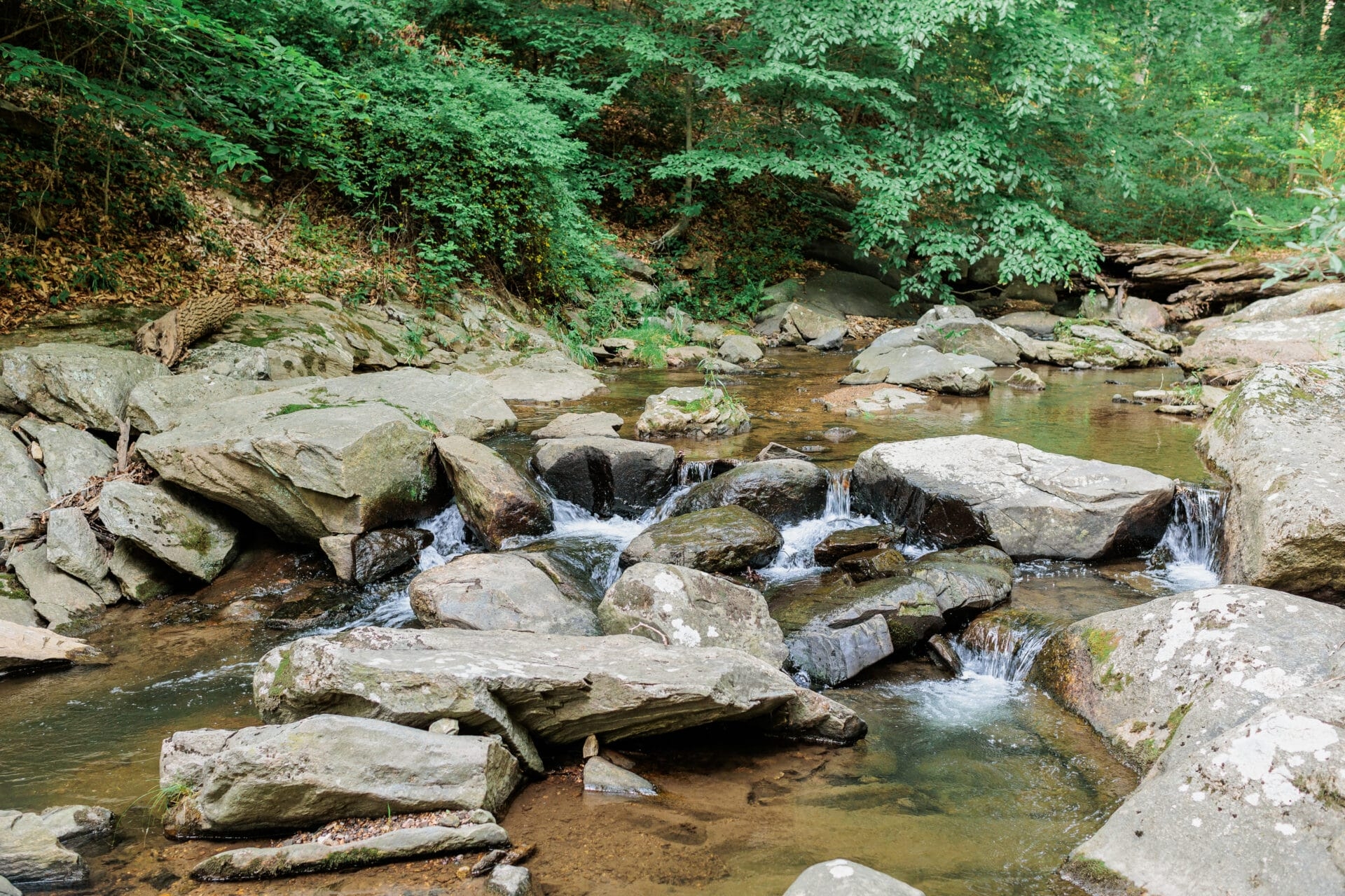 A creek with several rocks and water flowing around them. - The water of Rocky Run Creek flowing around rocks at Wawa Preserve.
