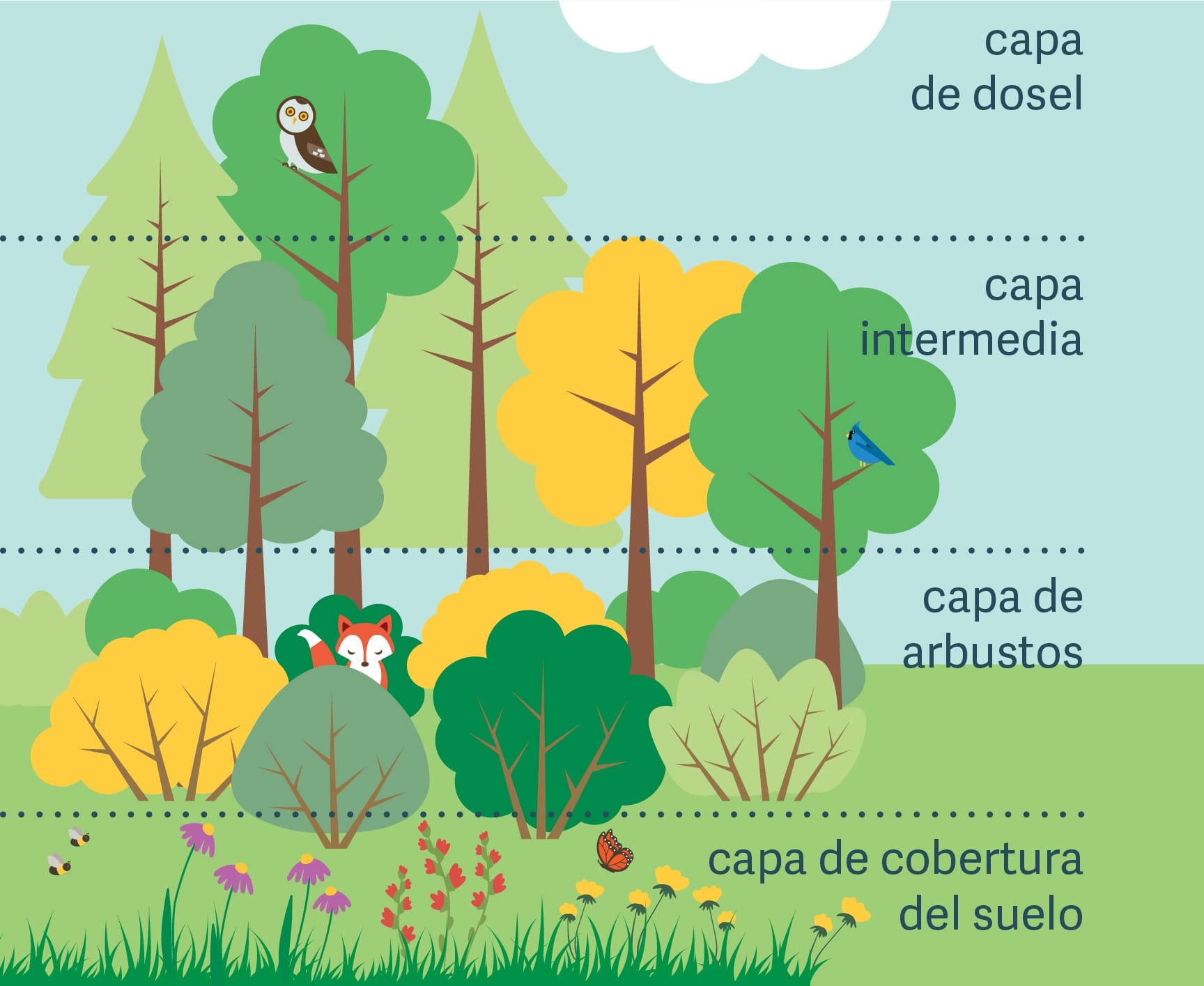 illustraation with plants, shrubs, trees, an owl, a fox, bees, and a butterfly