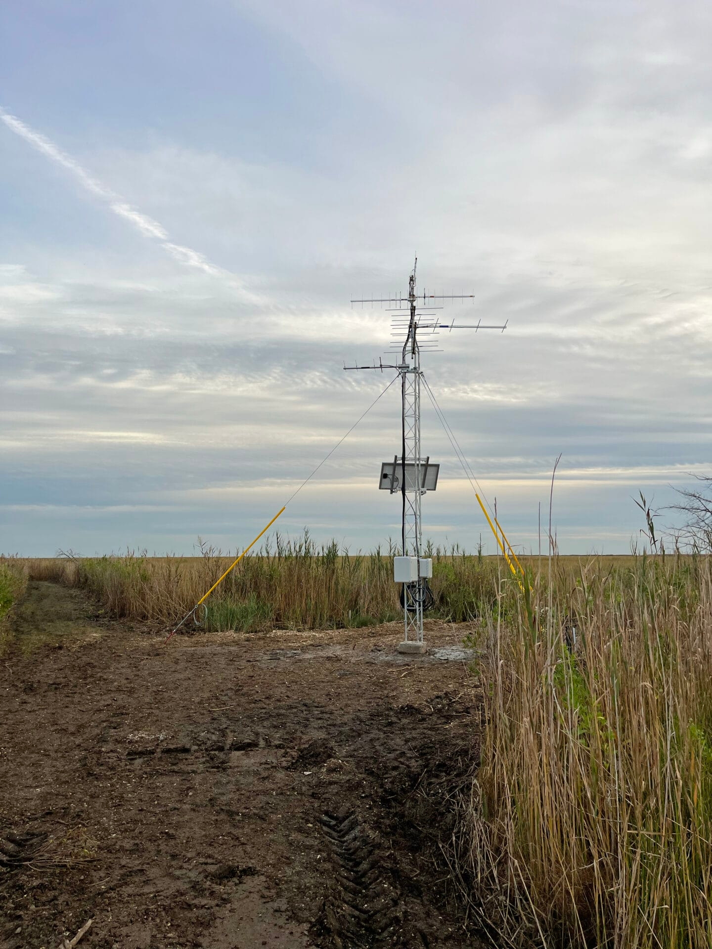a metal structure in a dirt area surround by tall grasses