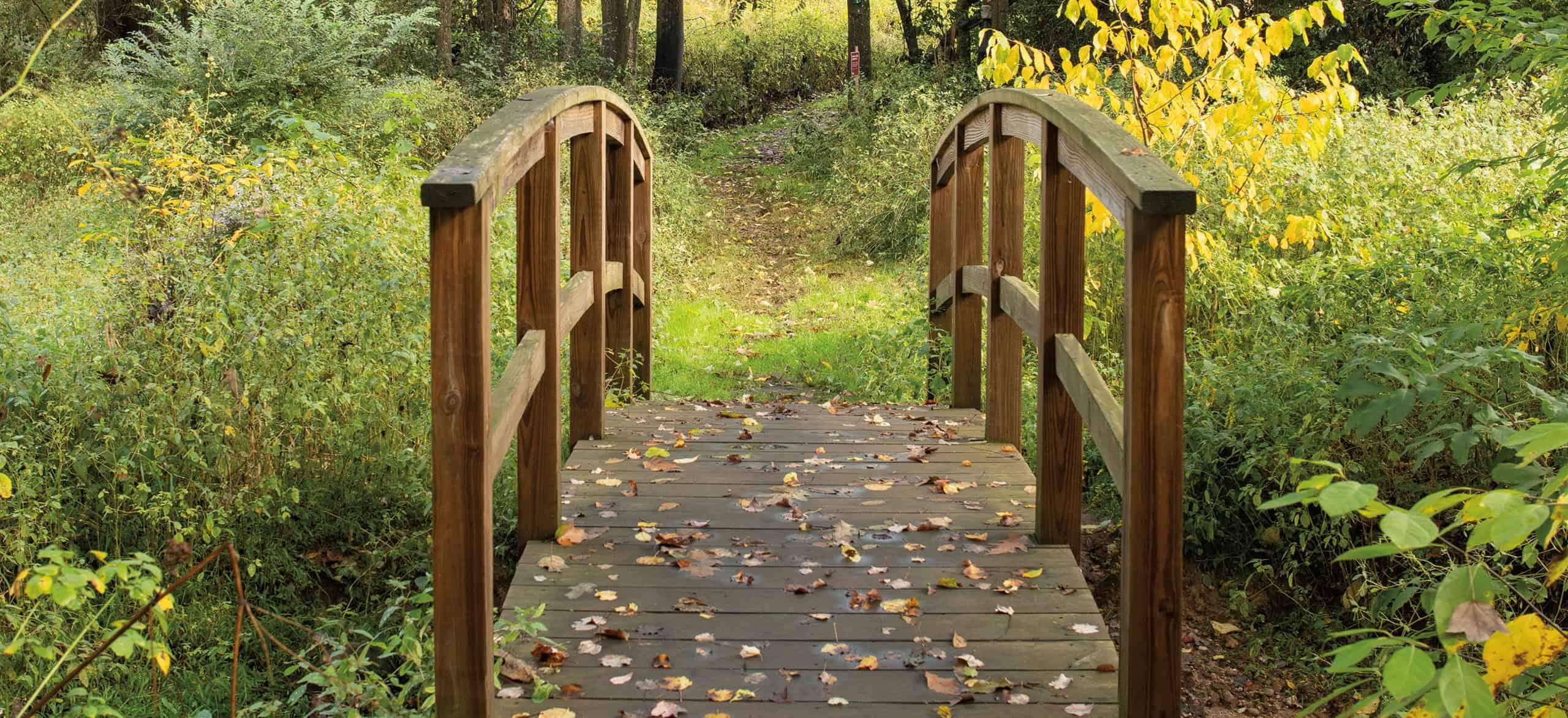 a small wooden bridge along a trail surrounded by green shrubbery and fallen leaves.
