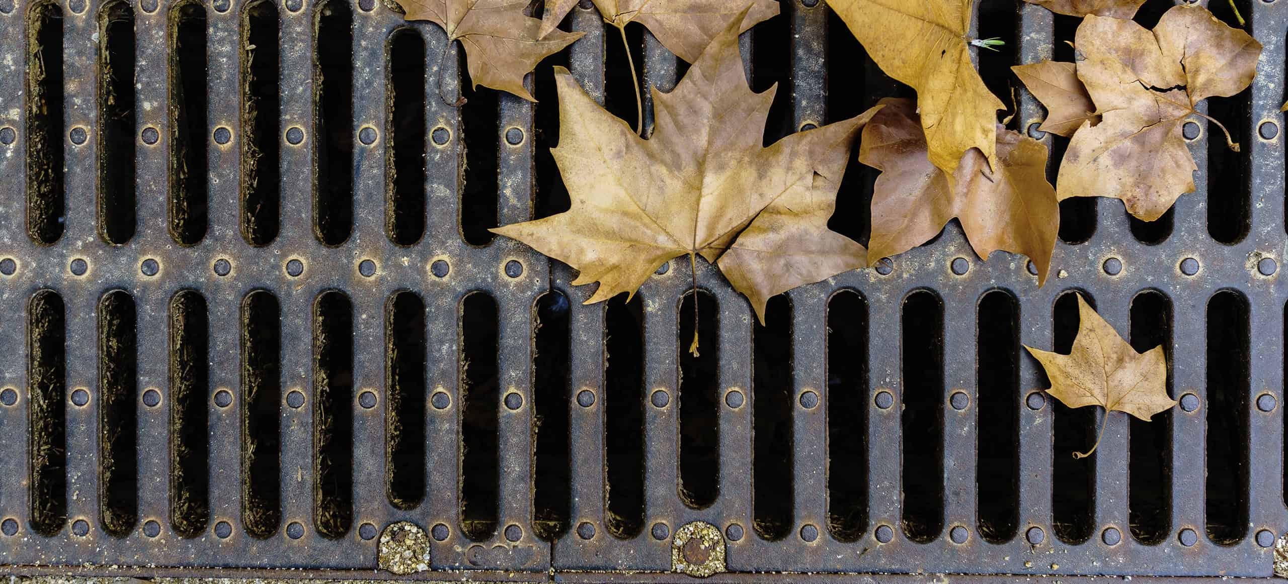 metal rainwater drain with dead leaves on top