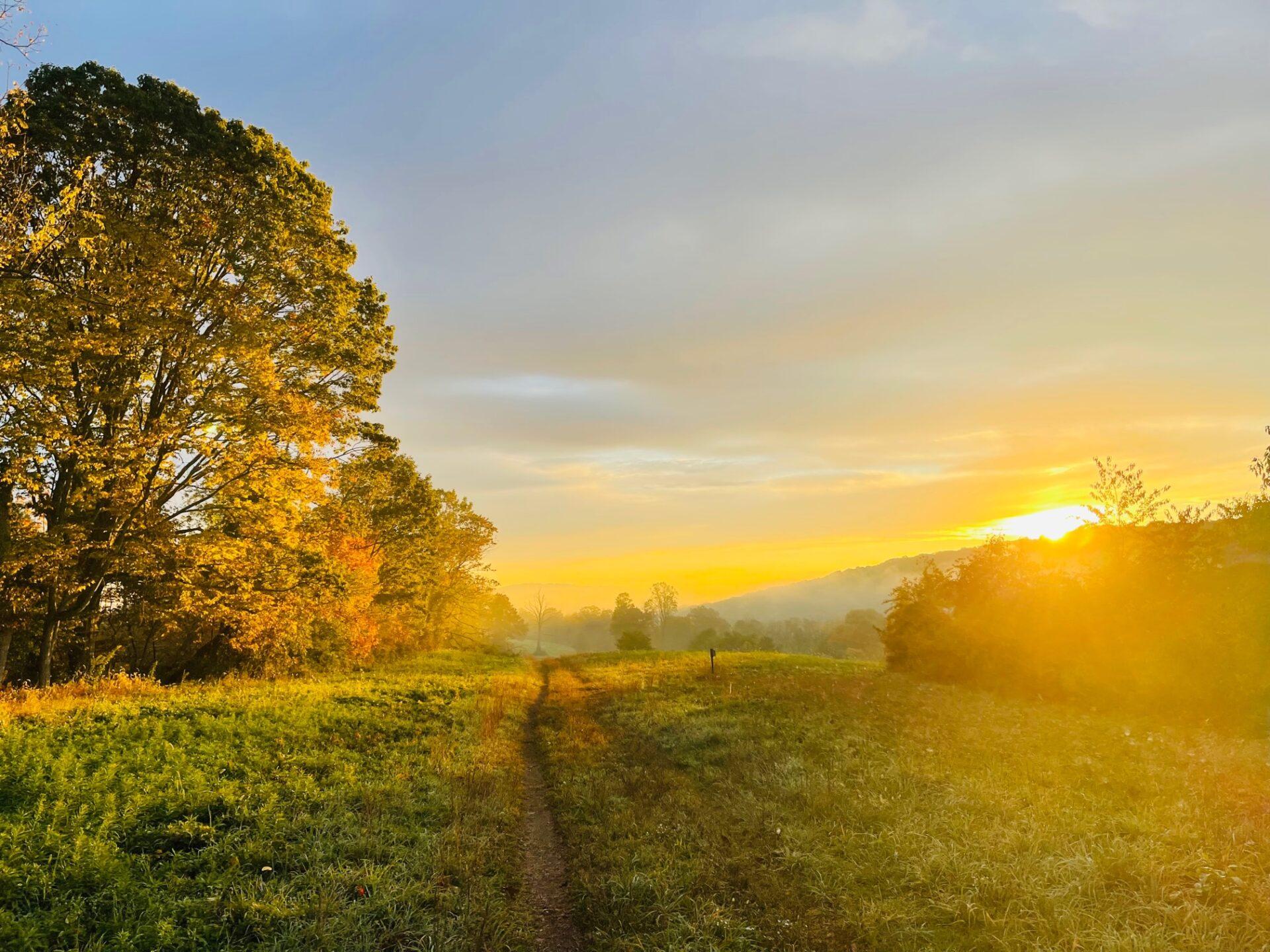 The sun rising over a distant hill with trees and a path through a field.
