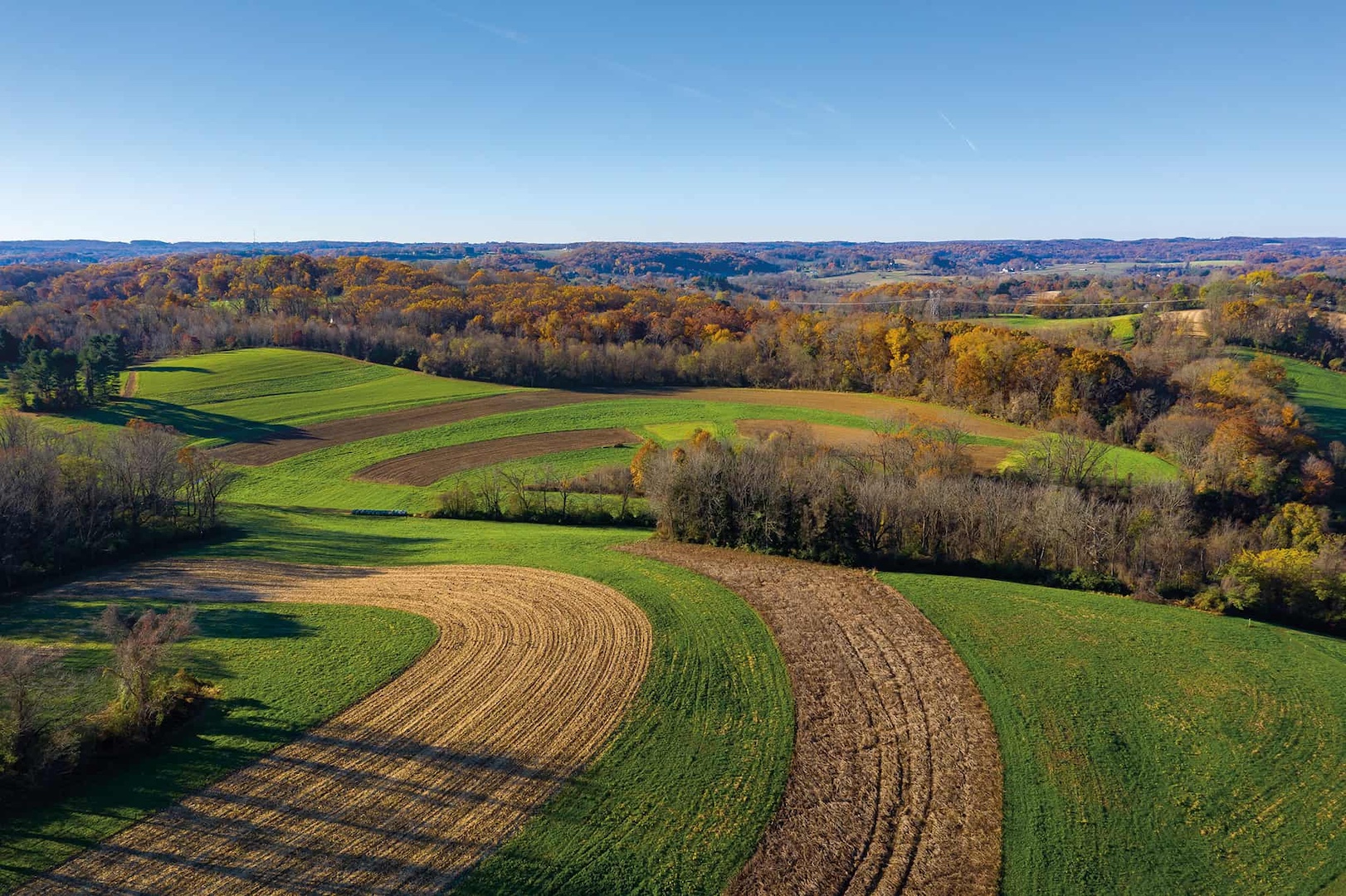 drone photo of farm fields, fall trees, and horizon in the distance