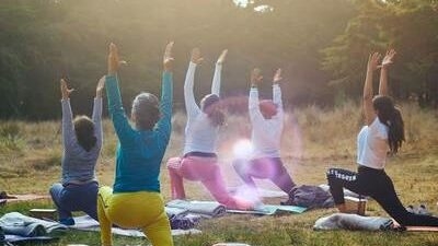 A group of five women in sun salutation pose on yoga mats outdoors in the meadow of a nature preserve with tall pine trees in the background. The sun is setting just below the treetops.