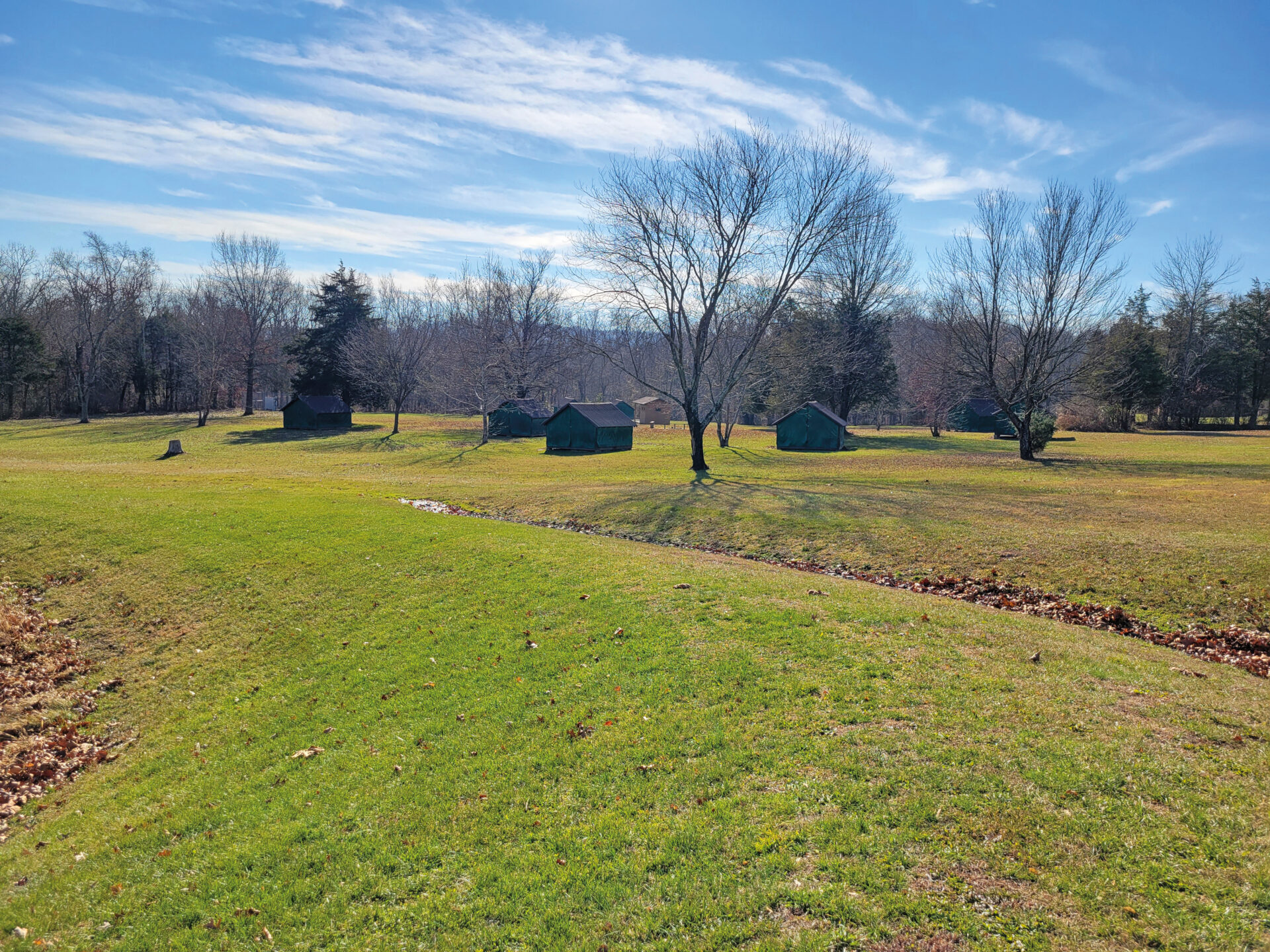 a large lawn with buildings and trees without leaves and a blue sky with wispy clouds