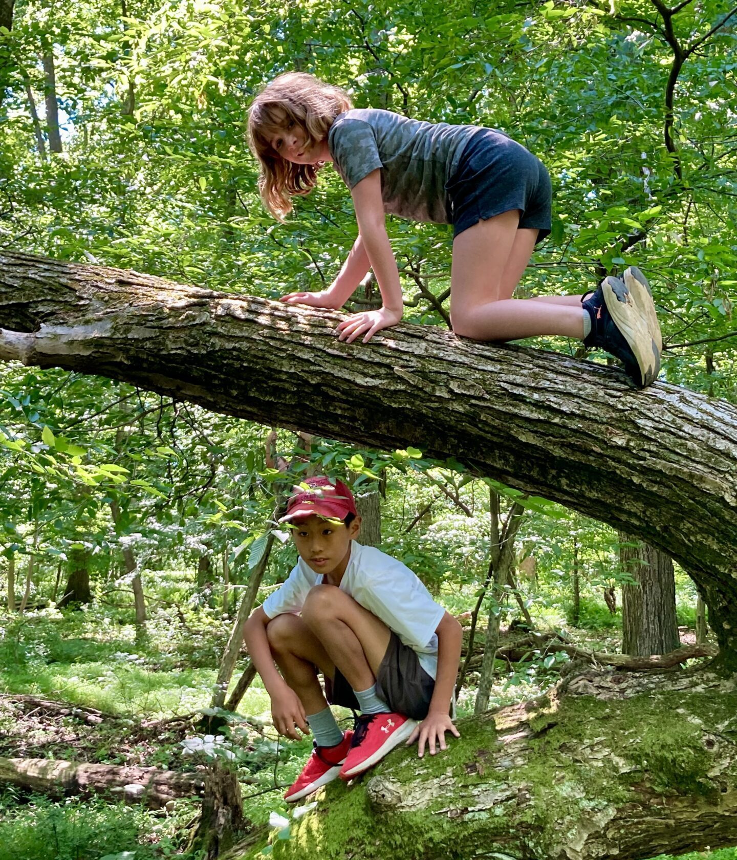 a young girl and boy climbing on a mossy tree that is partially fallen