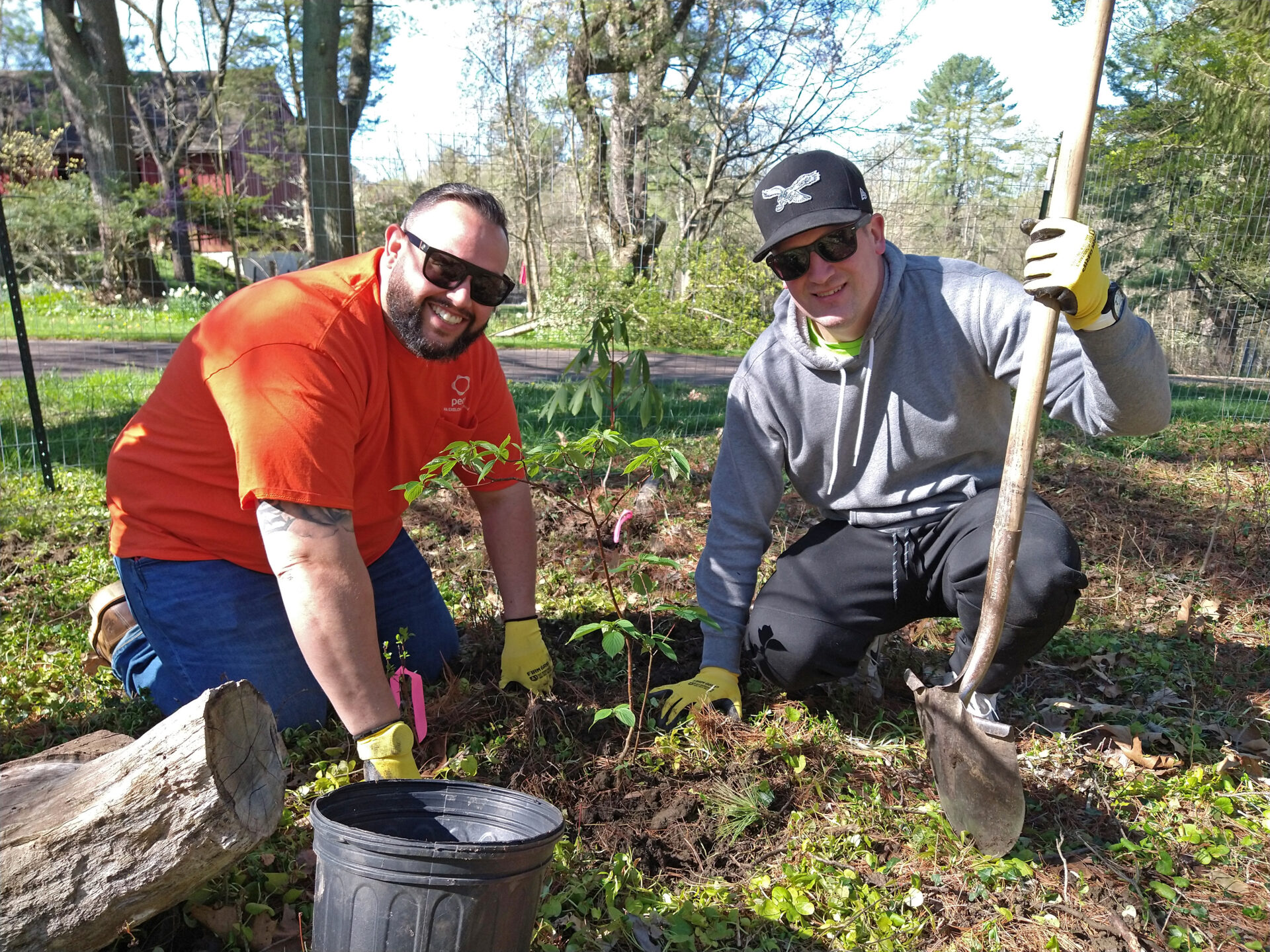 two men with sunglasses kneeling on the ground with a plant freshly planted in the ground